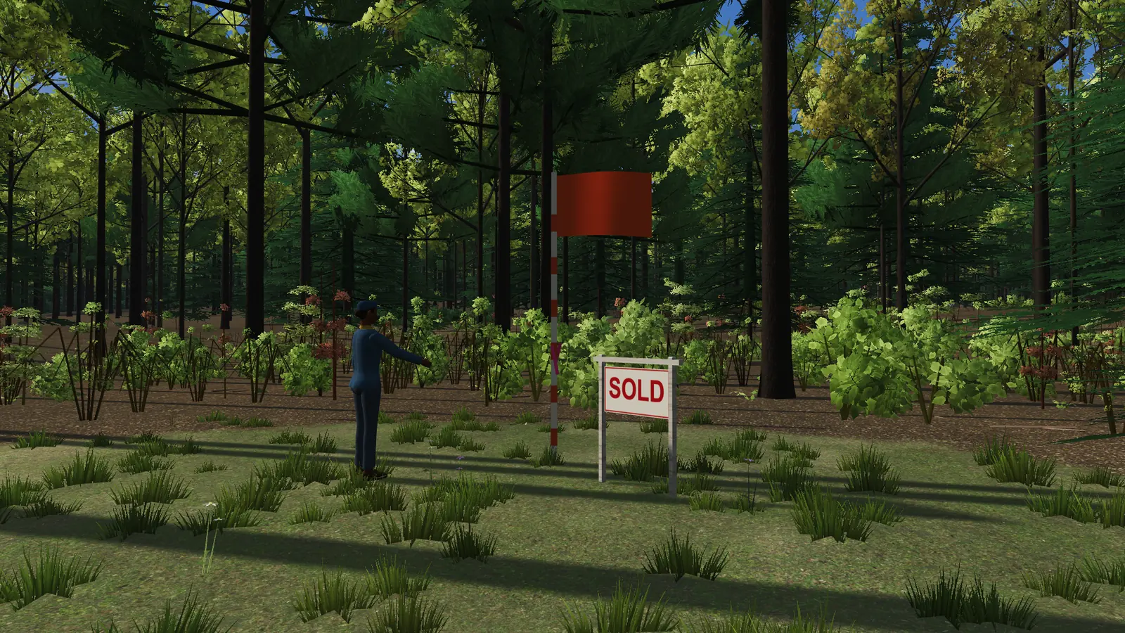 Day one: the homesite flag and a SOLD sign in a small clearing in thick woods